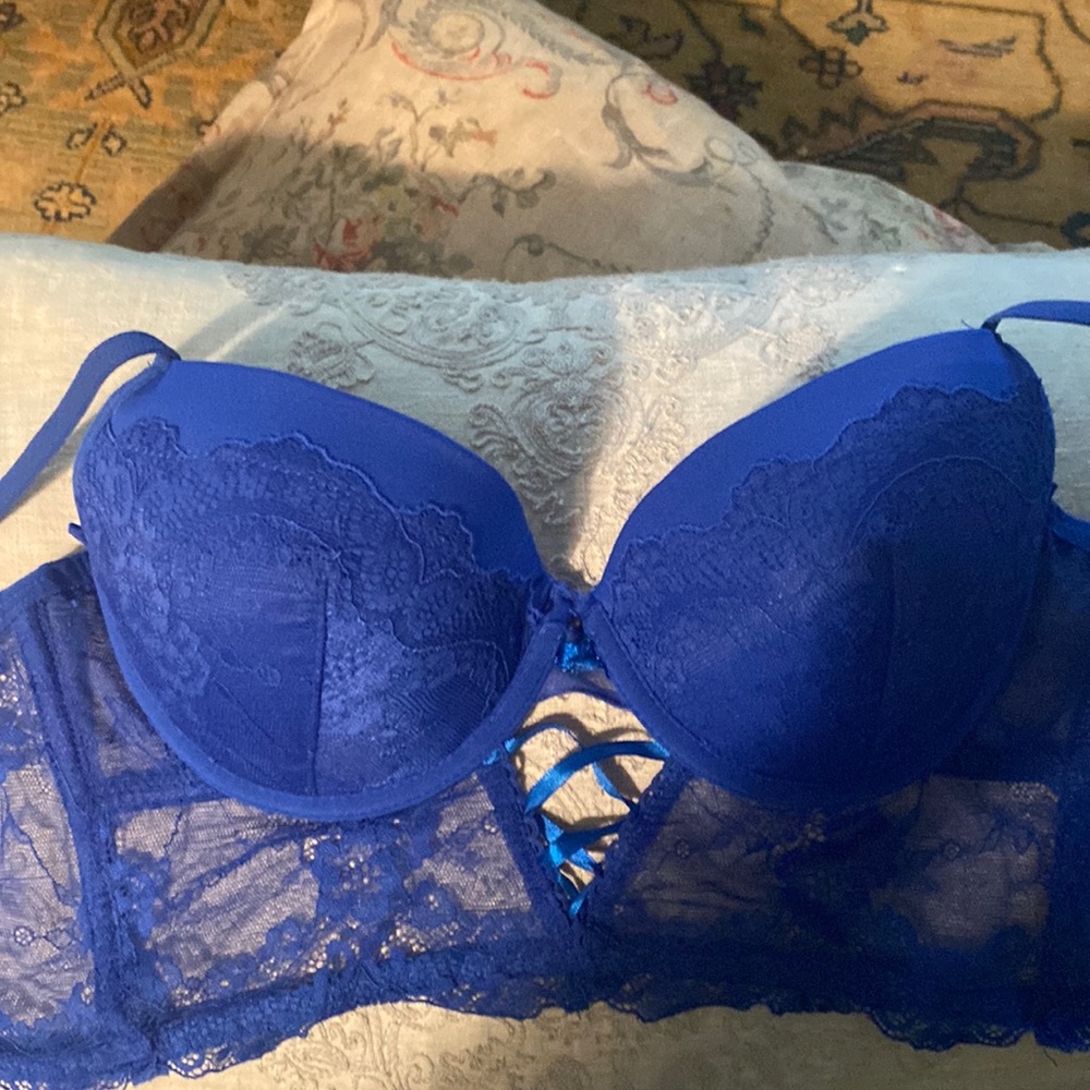 Fredericks of Hollywood longline lace bra with underwire